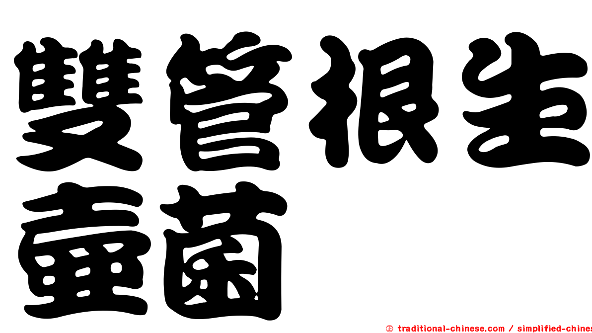 雙管根生壺菌