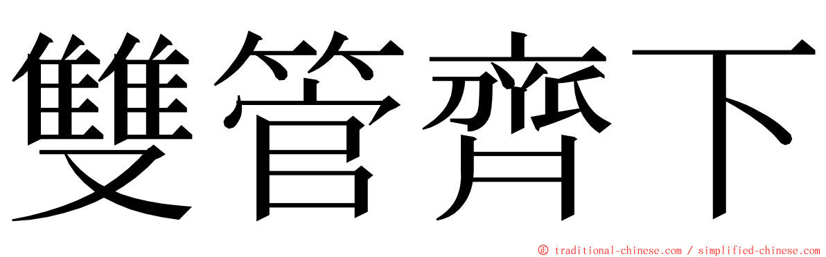 雙管齊下 ming font