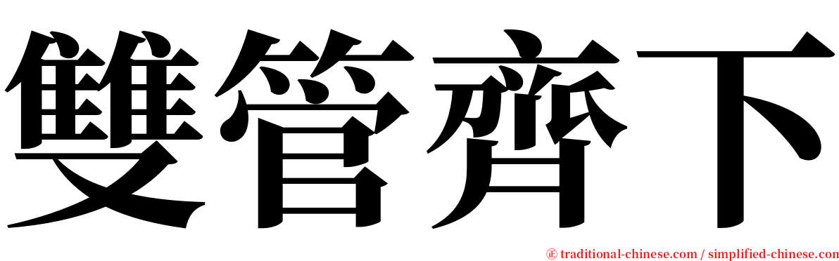 雙管齊下 serif font