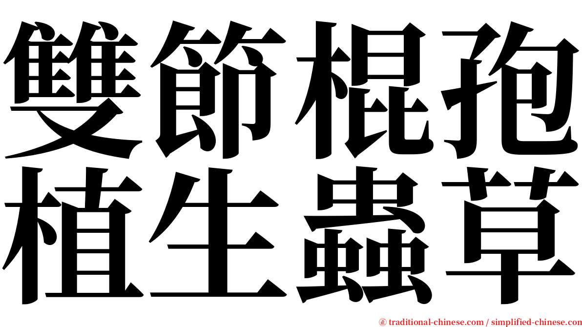 雙節棍孢植生蟲草 serif font