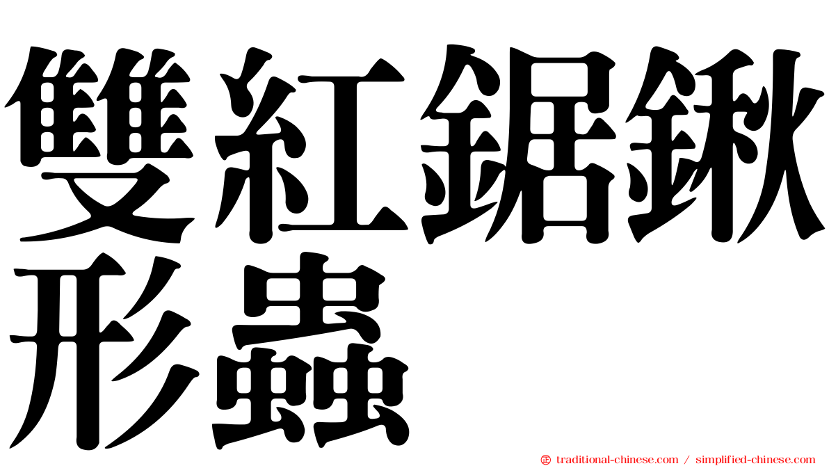 雙紅鋸鍬形蟲