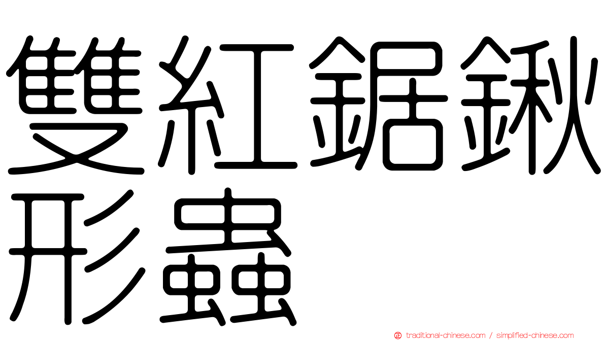 雙紅鋸鍬形蟲