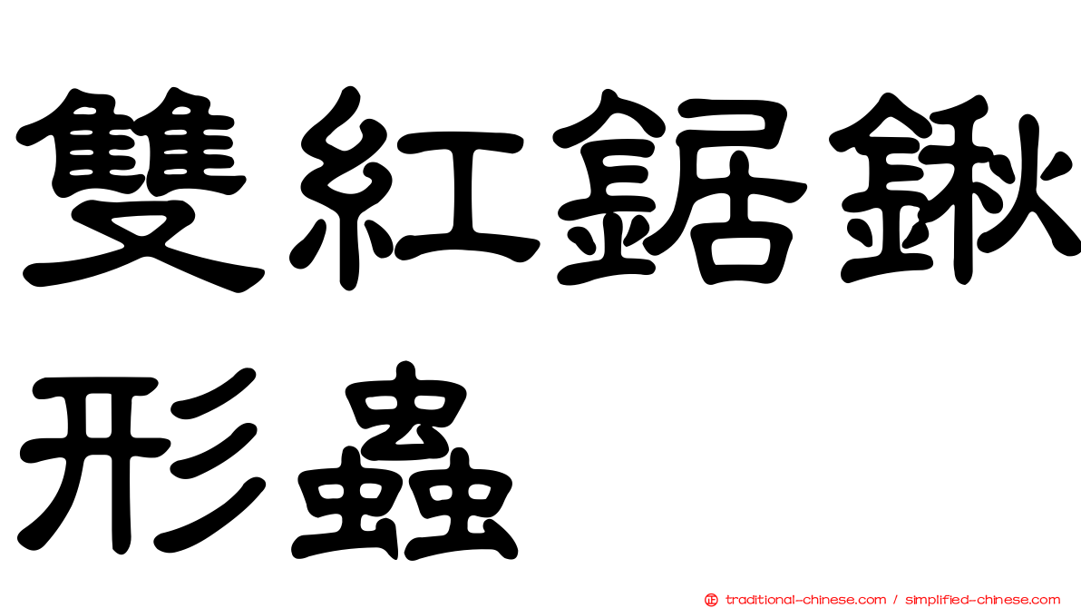 雙紅鋸鍬形蟲