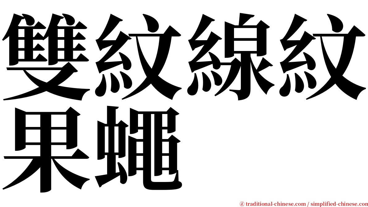 雙紋線紋果蠅 serif font