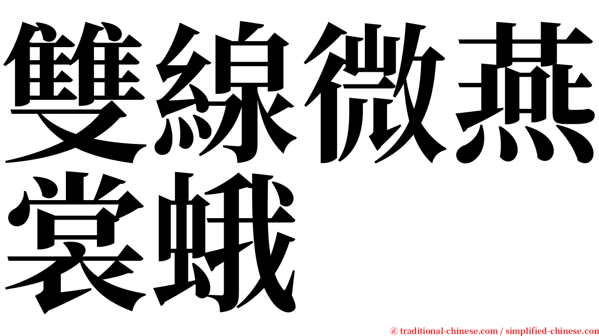 雙線微燕裳蛾 serif font