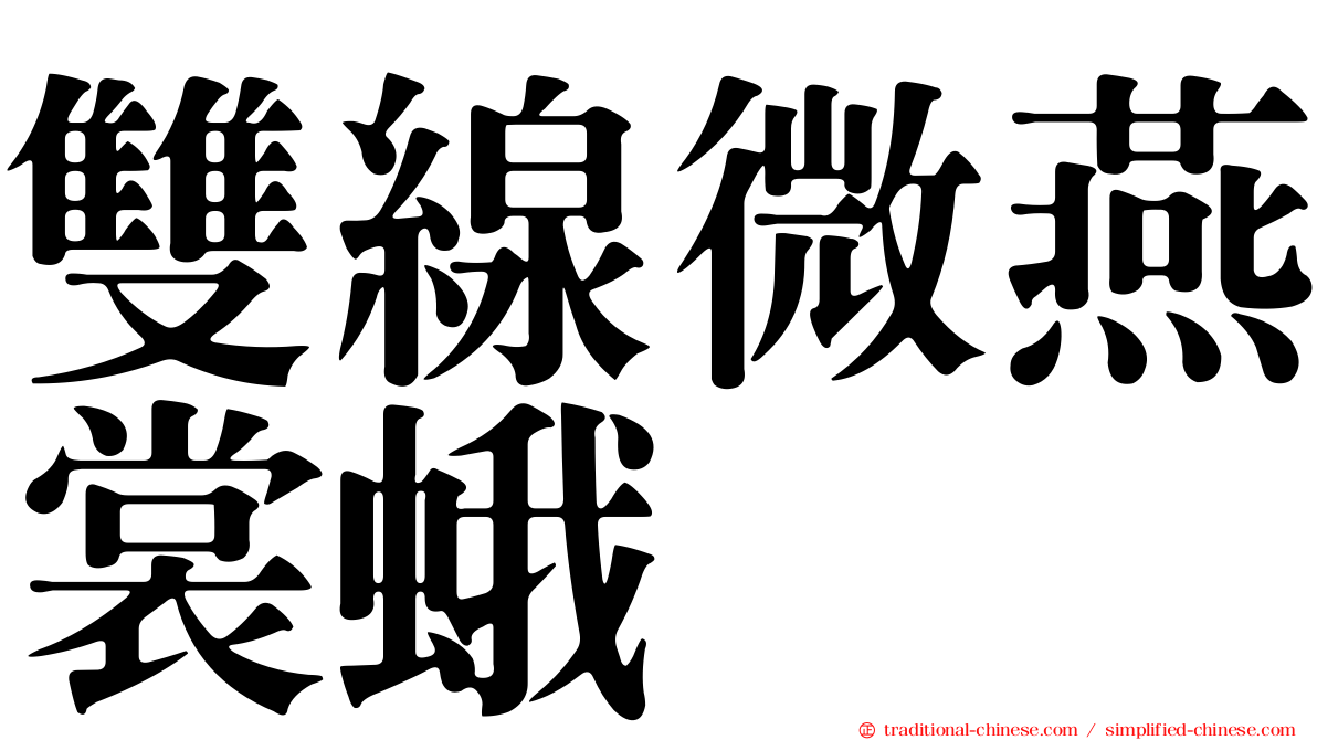 雙線微燕裳蛾
