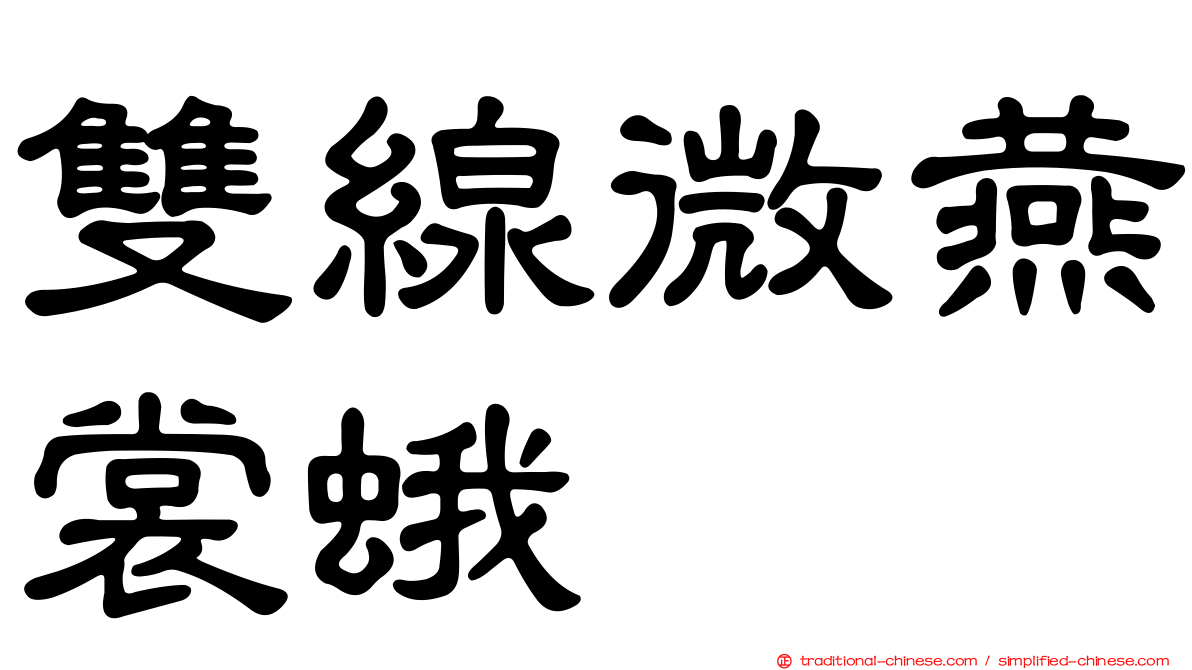 雙線微燕裳蛾