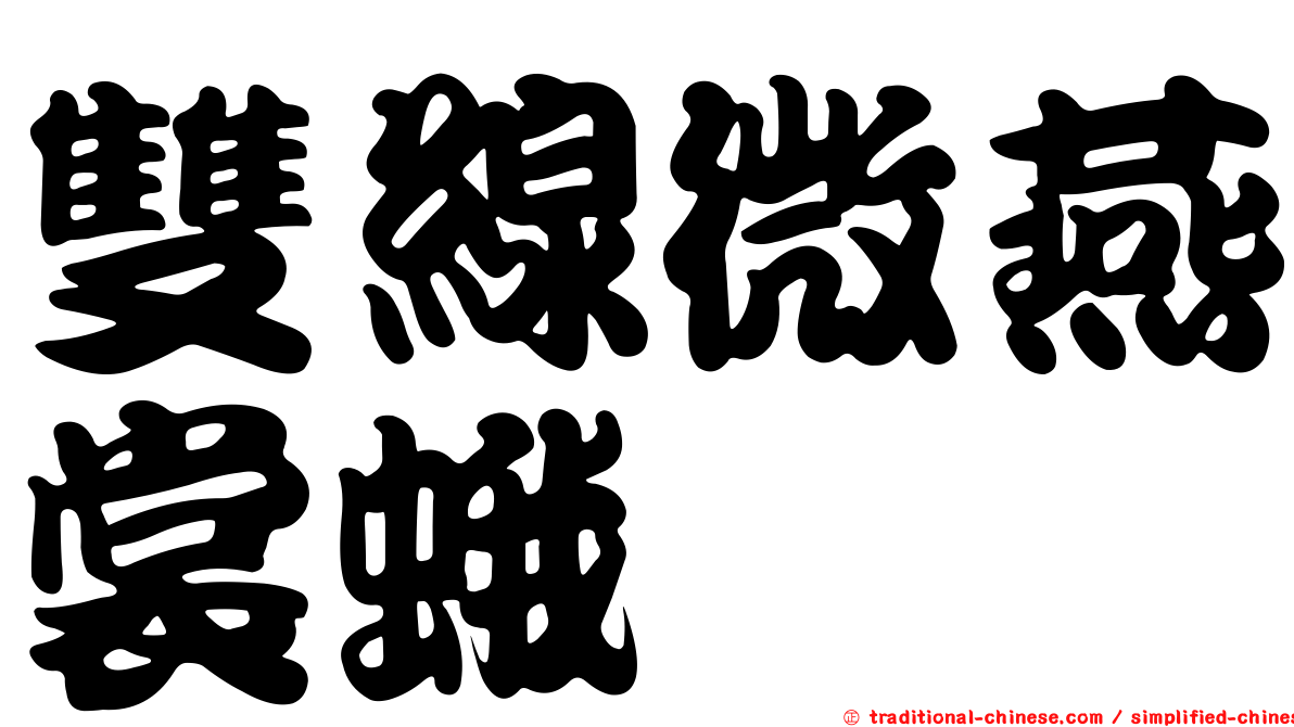 雙線微燕裳蛾