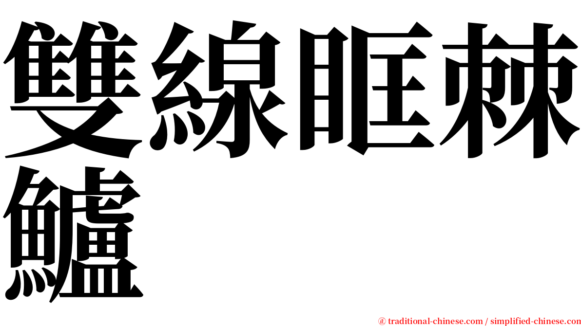 雙線眶棘鱸 serif font