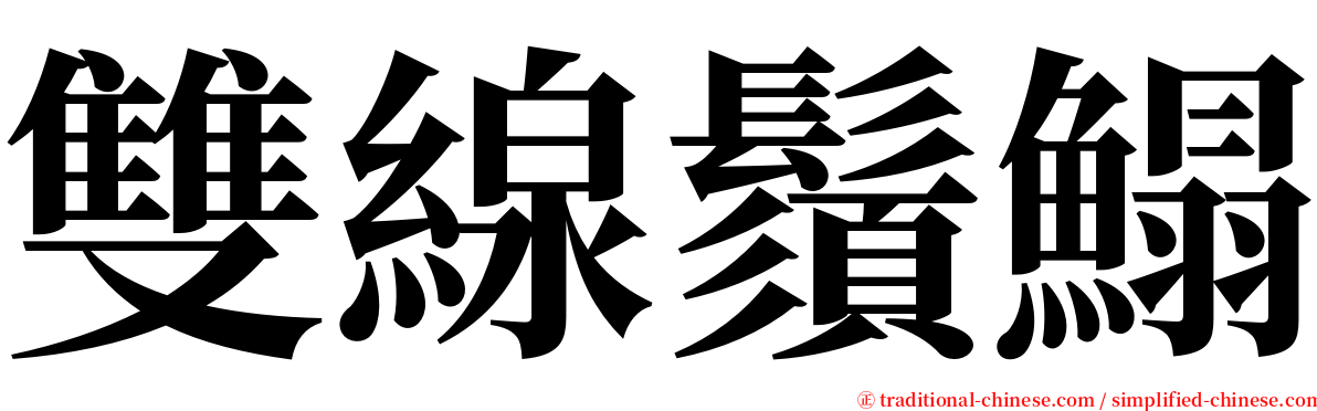 雙線鬚鰨 serif font