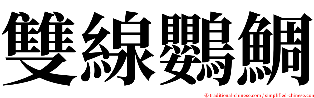 雙線鸚鯛 serif font