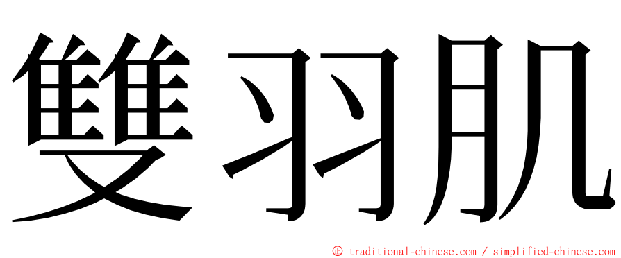 雙羽肌 ming font