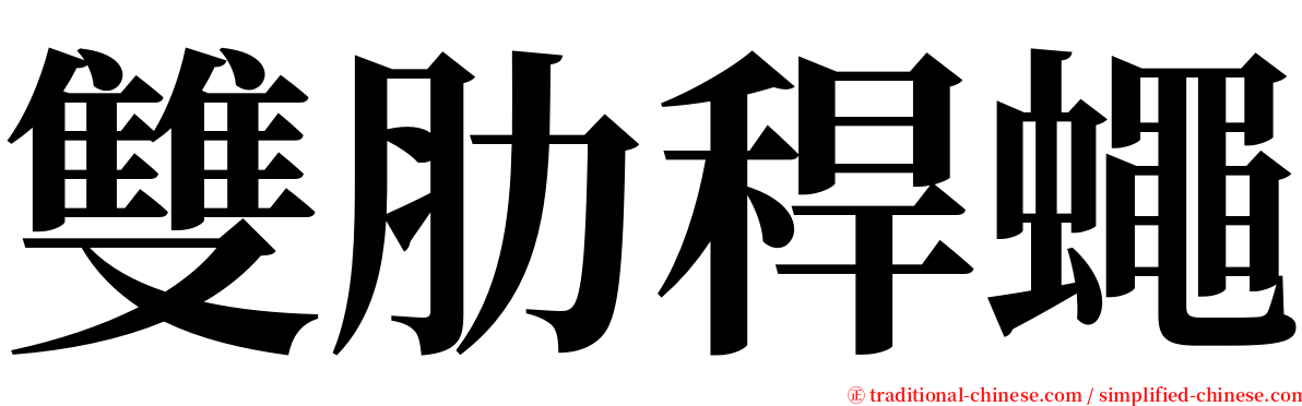 雙肋稈蠅 serif font