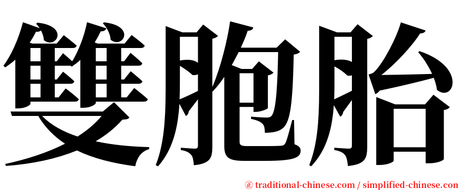 雙胞胎 serif font