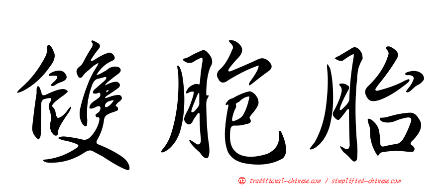 雙胞胎