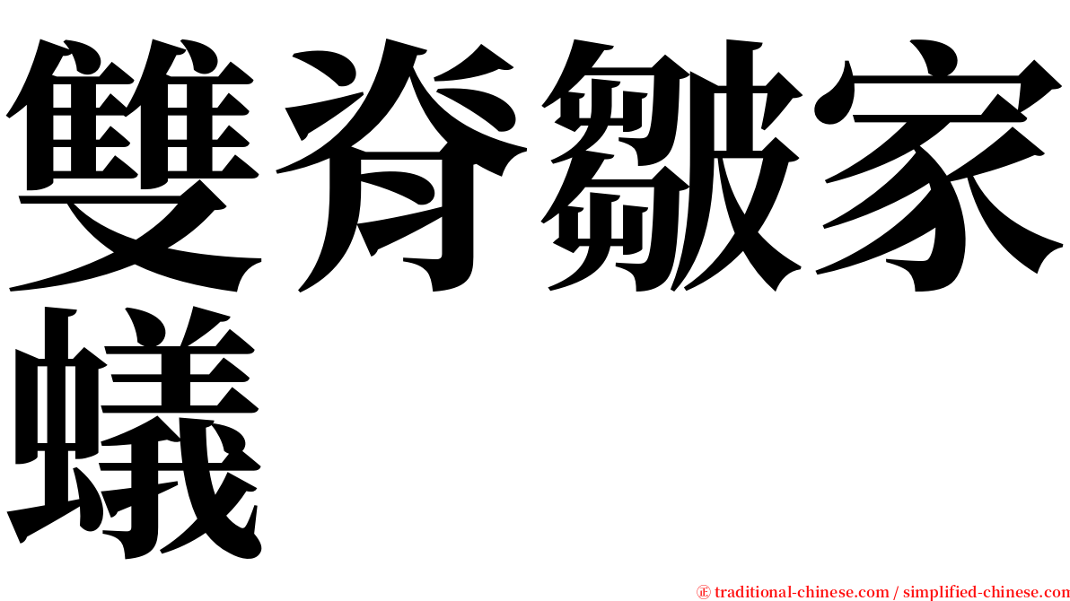 雙脊皺家蟻 serif font