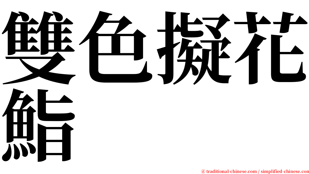 雙色擬花鮨 serif font