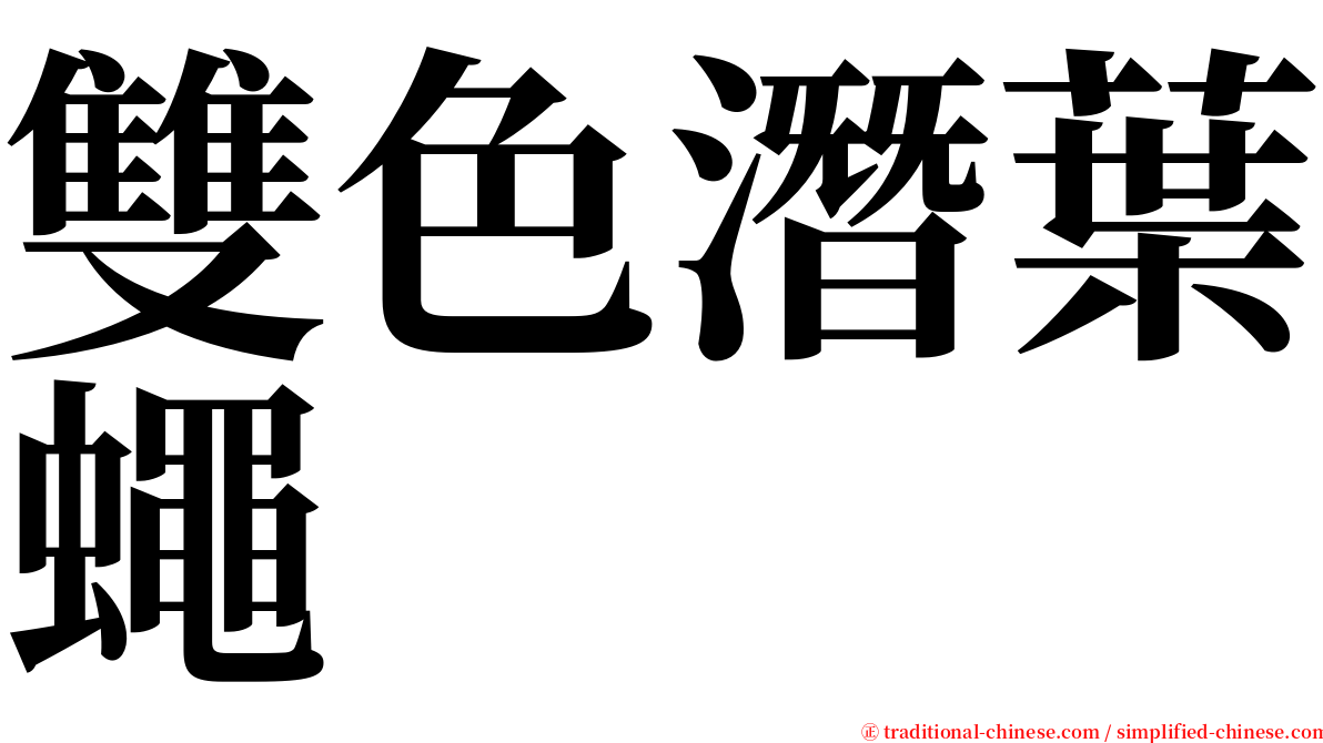 雙色潛葉蠅 serif font