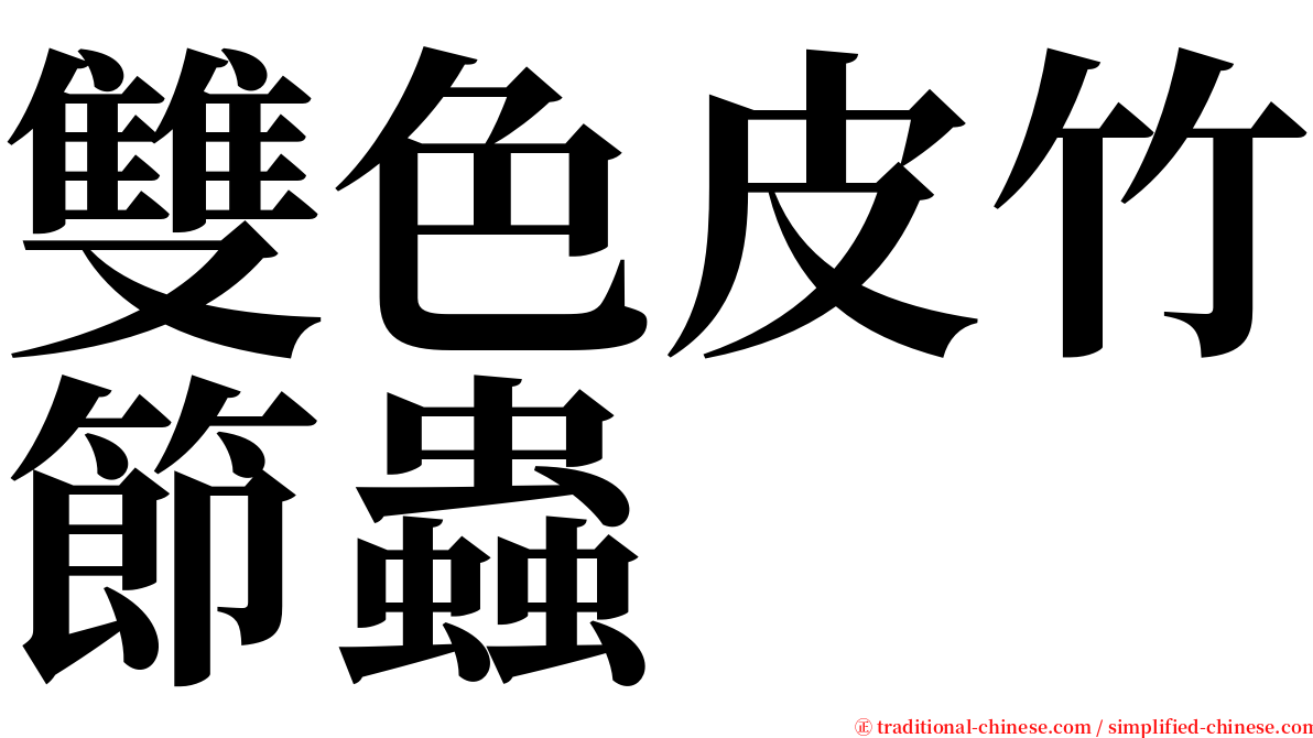 雙色皮竹節蟲 serif font