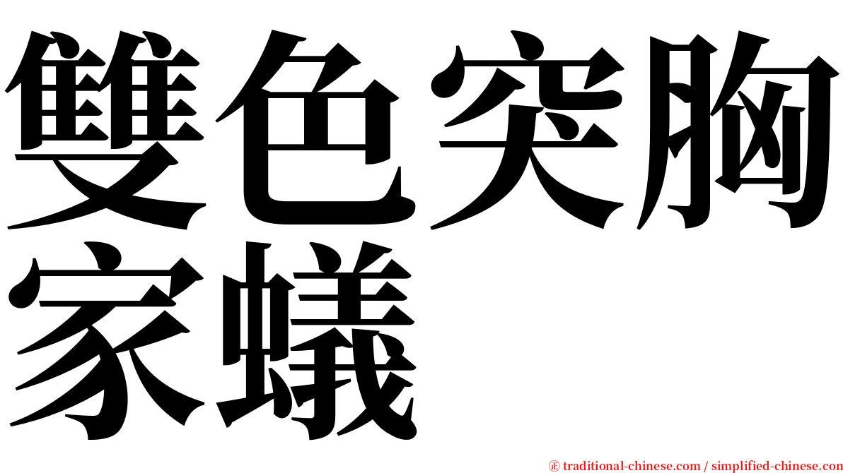 雙色突胸家蟻 serif font