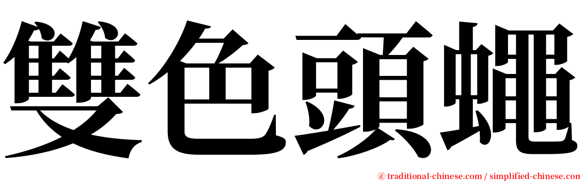 雙色頭蠅 serif font