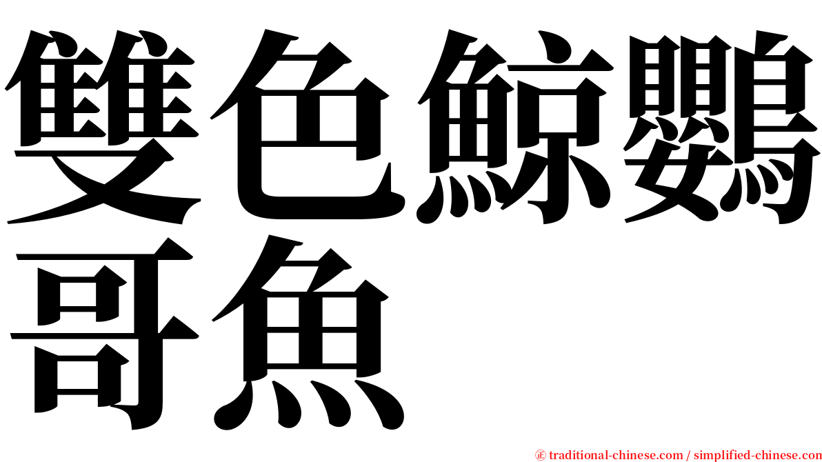 雙色鯨鸚哥魚 serif font