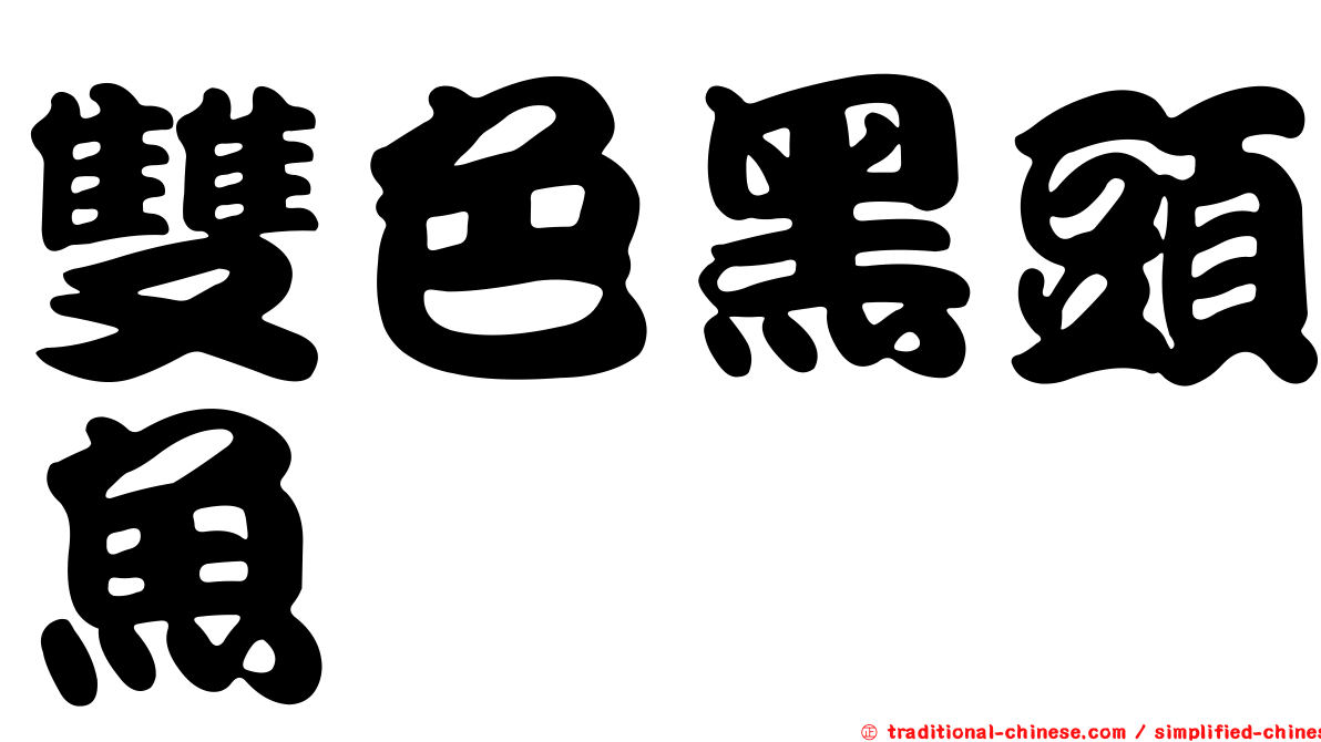 雙色黑頭魚