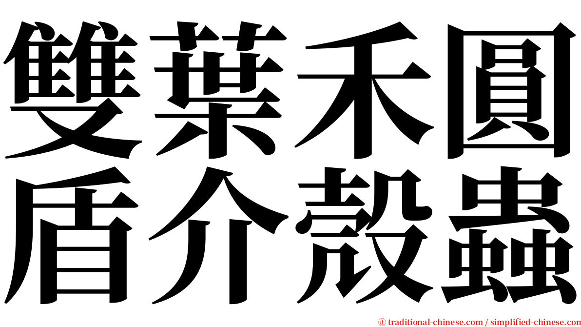 雙葉禾圓盾介殼蟲 serif font