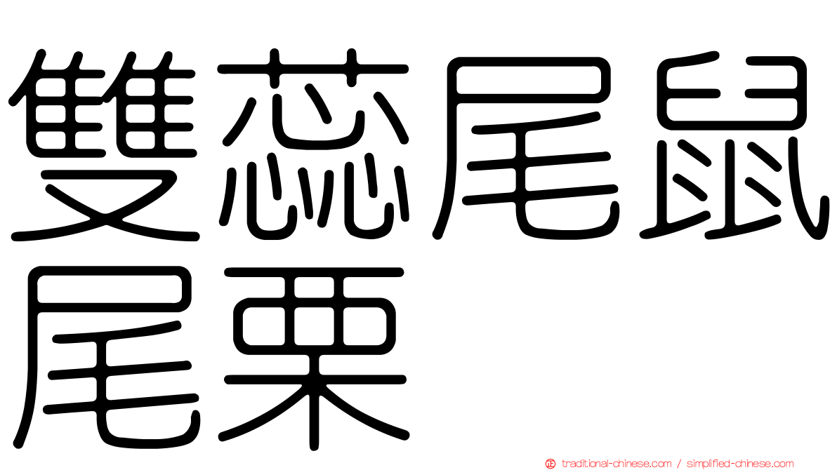 雙蕊尾鼠尾栗