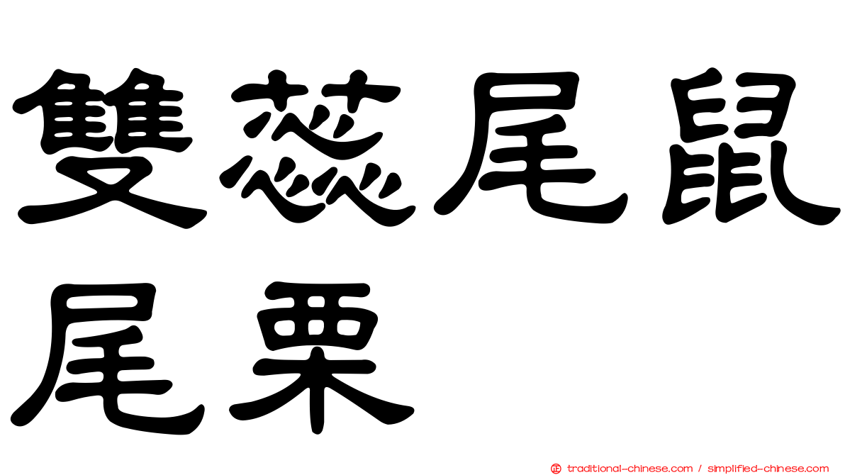 雙蕊尾鼠尾栗