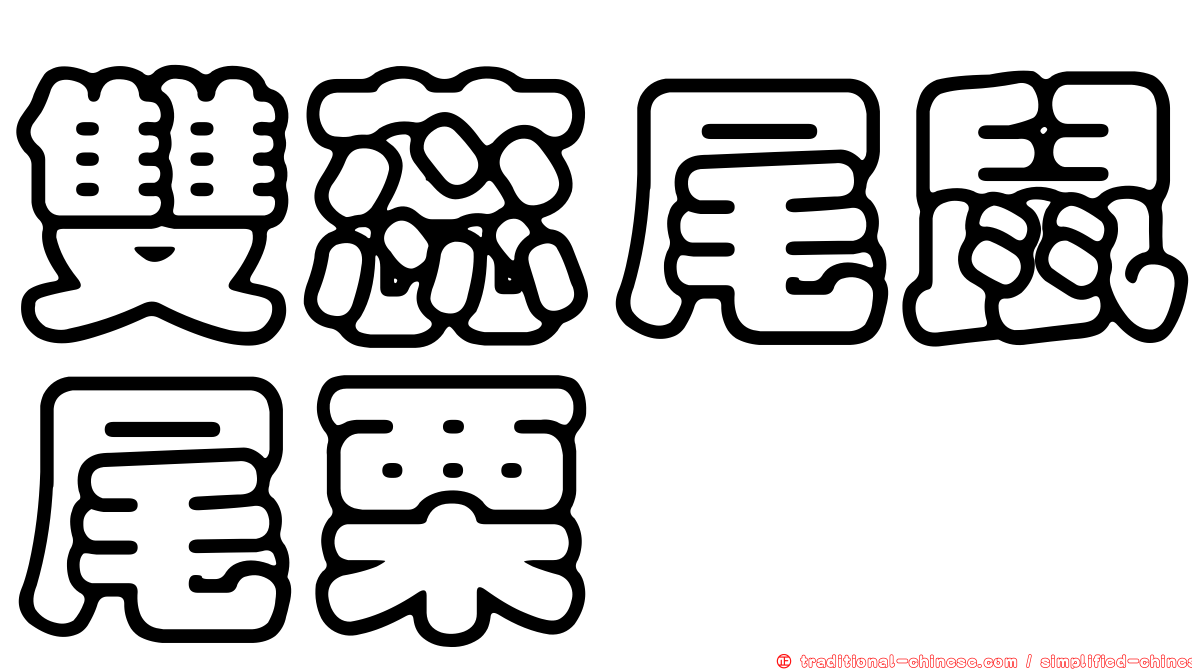 雙蕊尾鼠尾栗