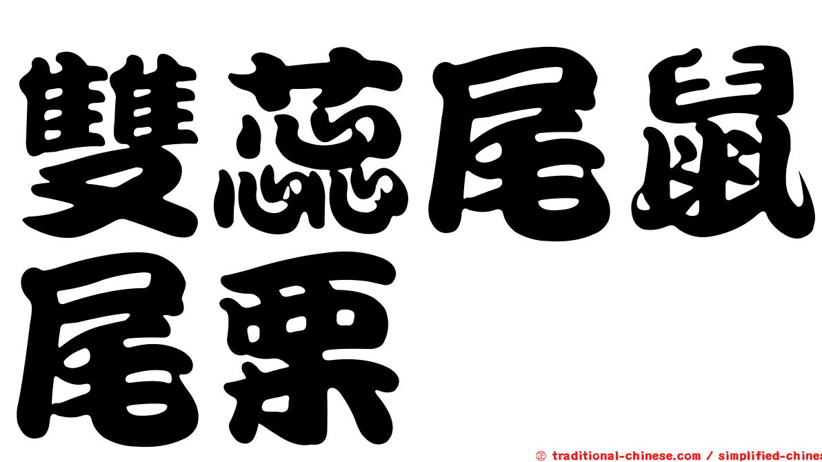 雙蕊尾鼠尾栗