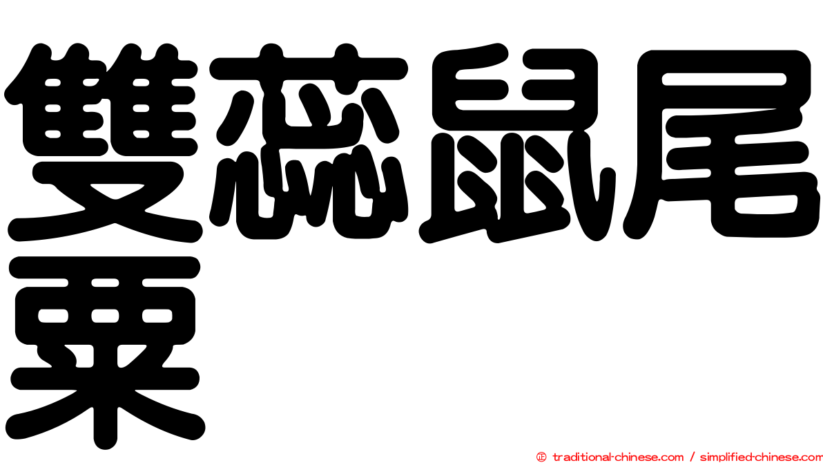 雙蕊鼠尾粟