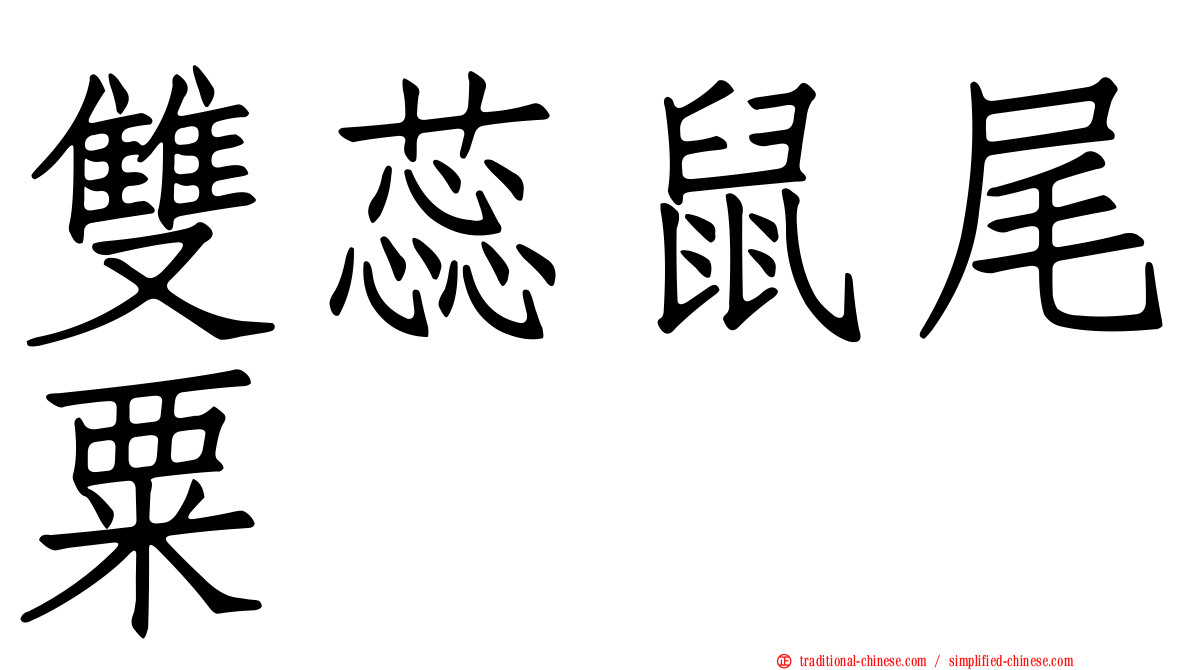 雙蕊鼠尾粟