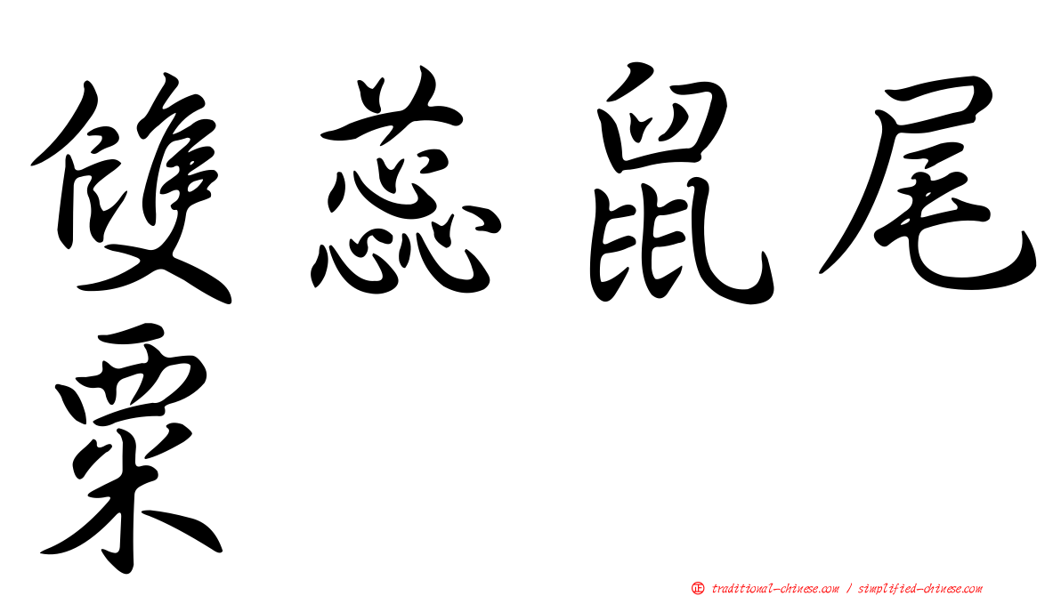 雙蕊鼠尾粟