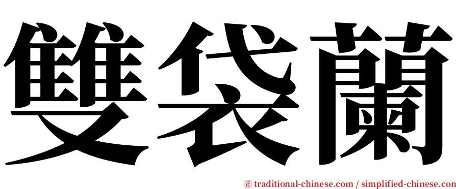 雙袋蘭 serif font