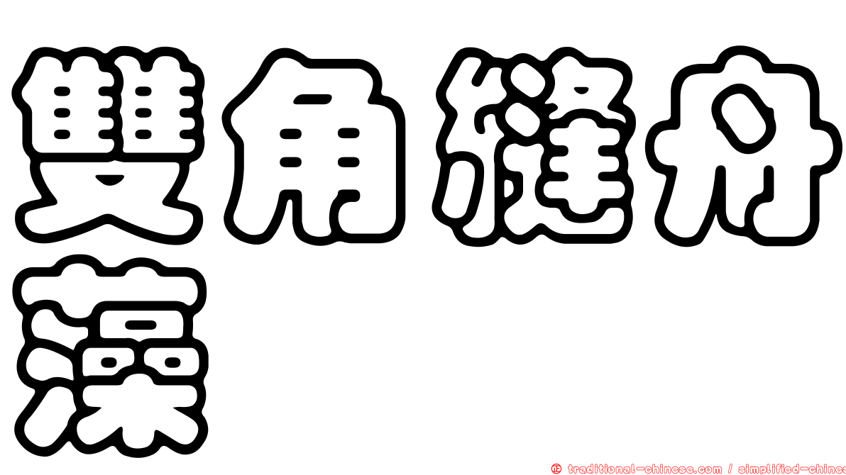 雙角縫舟藻