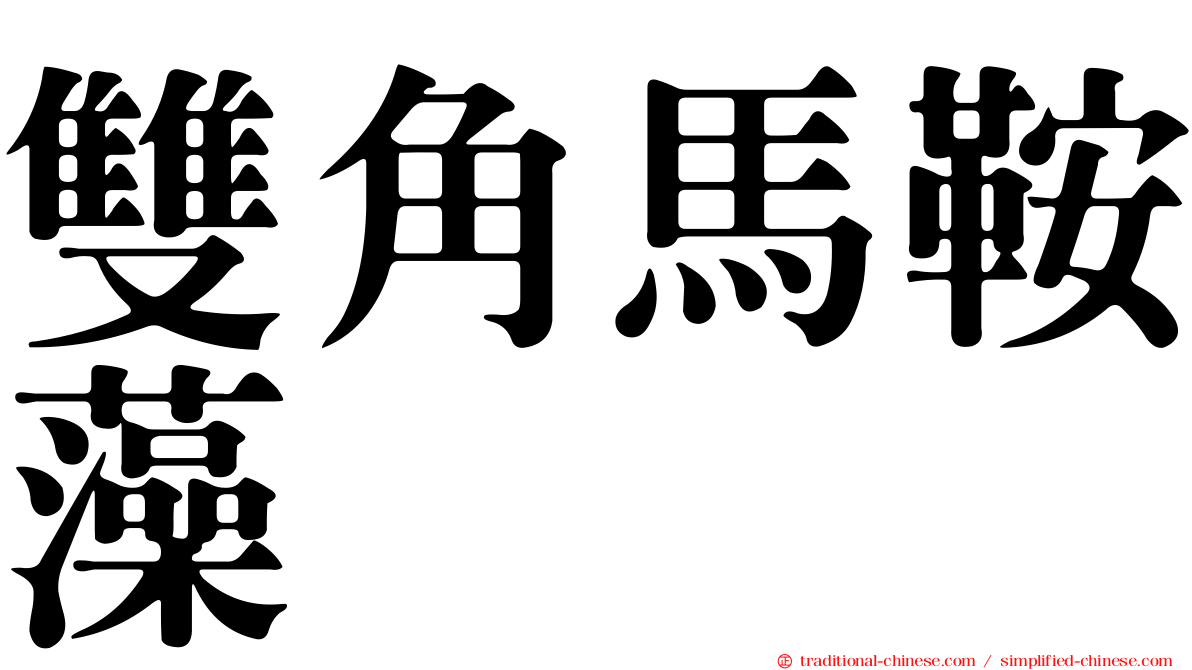 雙角馬鞍藻