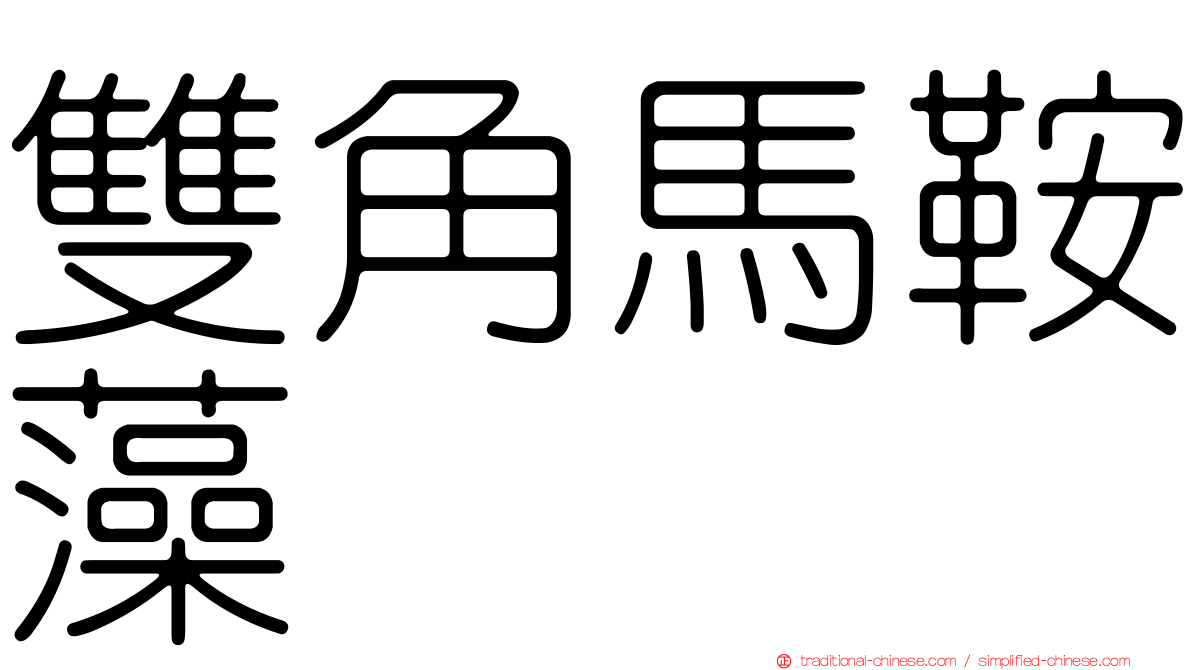 雙角馬鞍藻
