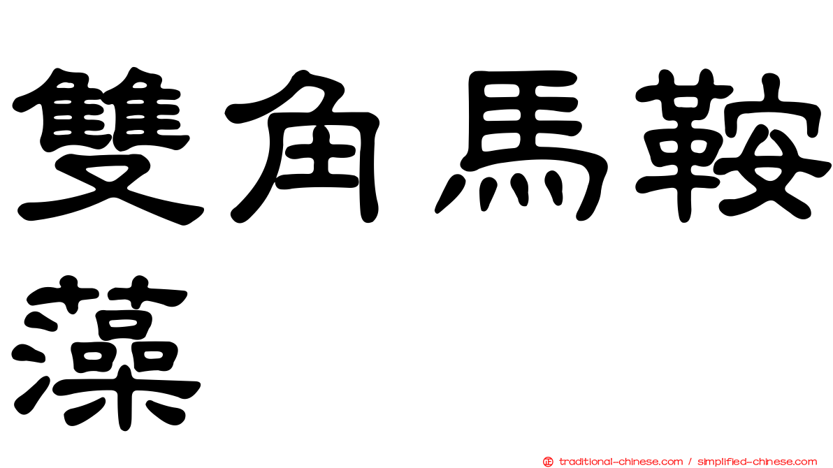 雙角馬鞍藻