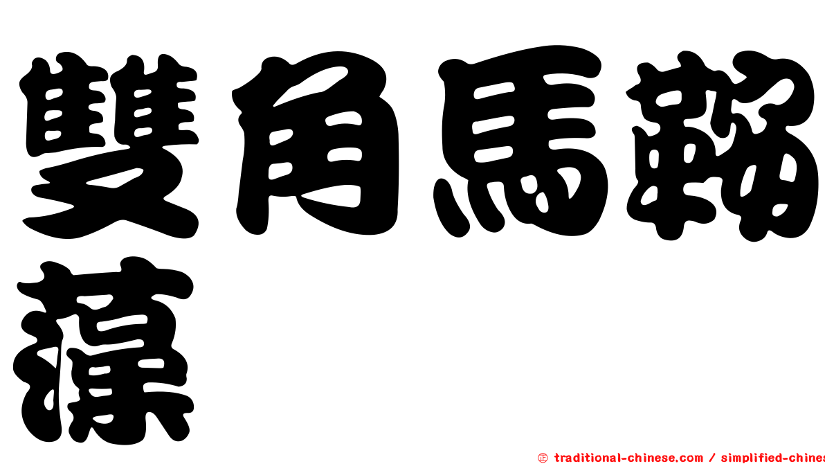 雙角馬鞍藻