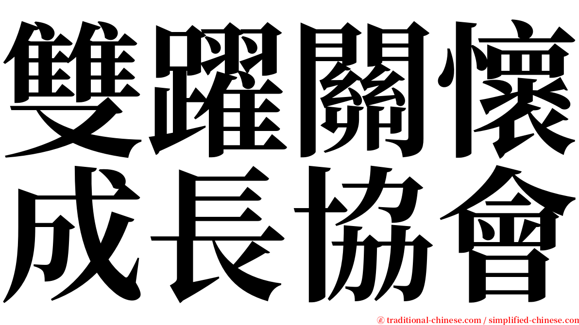 雙躍關懷成長協會 serif font