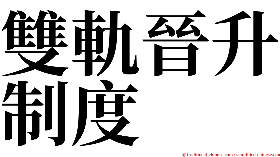 雙軌晉升制度 serif font