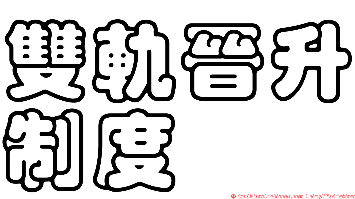 雙軌晉升制度