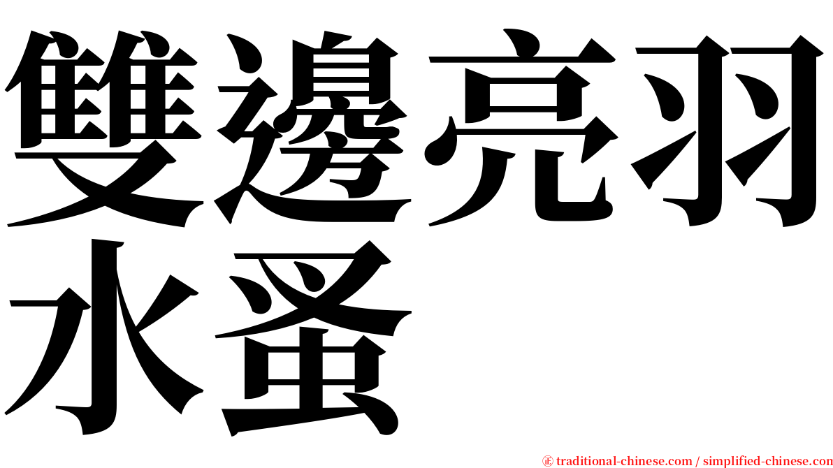 雙邊亮羽水蚤 serif font