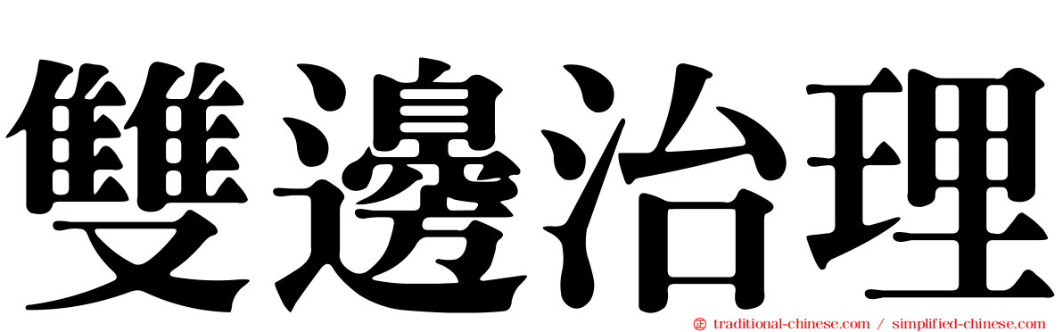 雙邊治理