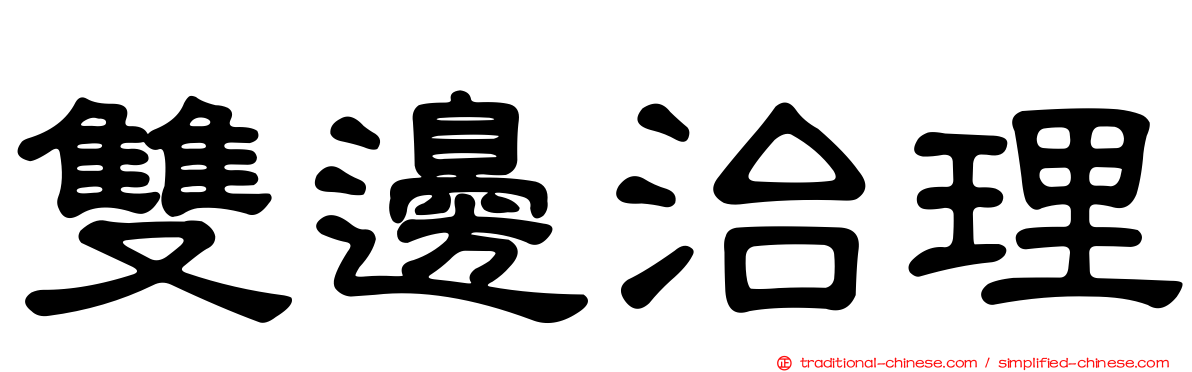 雙邊治理