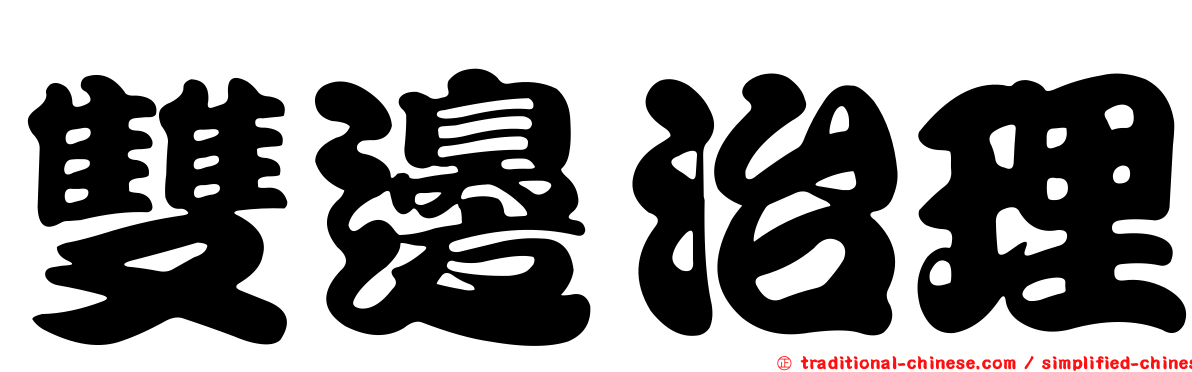 雙邊治理