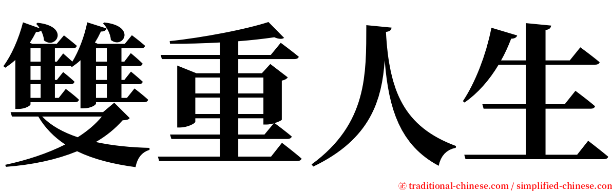 雙重人生 serif font