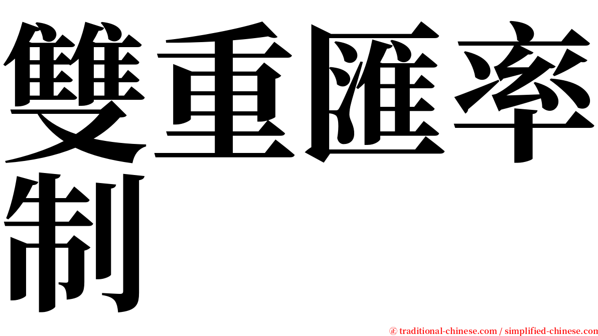 雙重匯率制 serif font